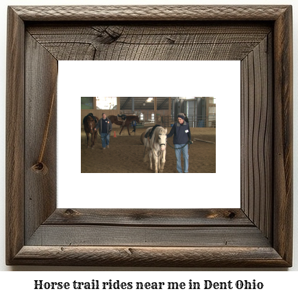 horse trail rides near me in Dent, Ohio